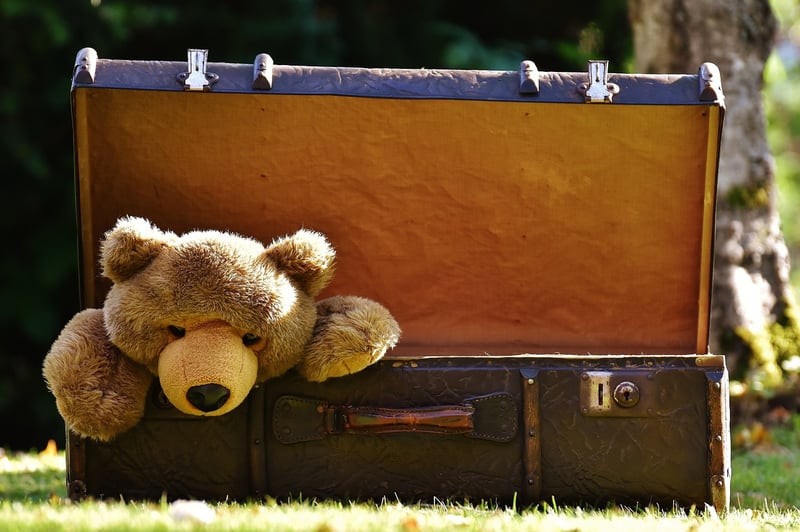 Vintage Suitcase Pet Bed